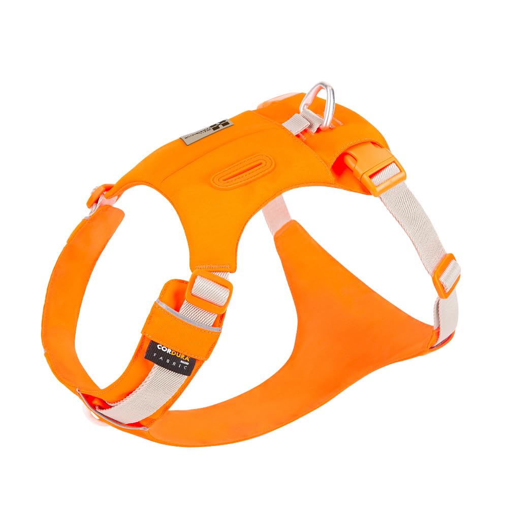 Small Combination Dog Harness Dog pocket Harness Adjustable, Turquoise (Orange, L)