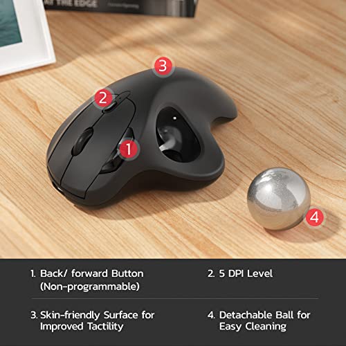 Nulea M501 Kabellose Trackball Maus, Wiederaufladbare Ergonomische Maus, Präzises und Reibungsloses Tracking, 3-Geräte-Verbindung (Bluetooth oder 2,4G USB-Empfänger), Kompatibel für Mac, Windows.