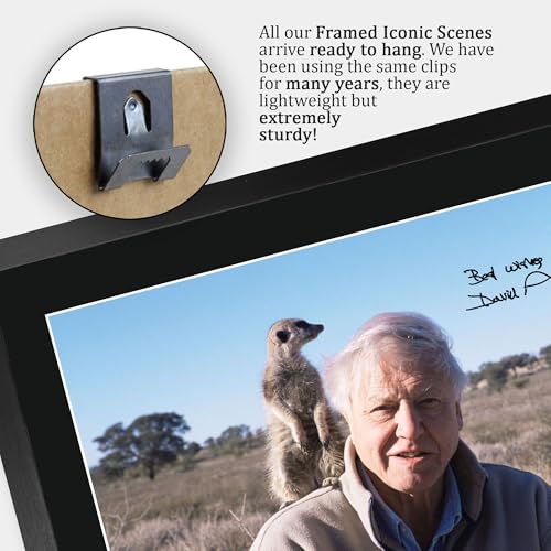 Cuadro de David Attenborough A3 enmarcado para decorar tu salón 5