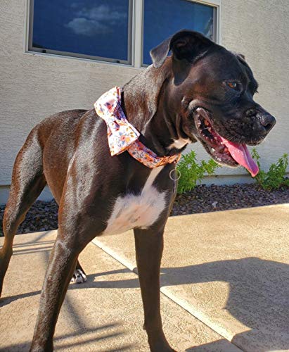 Unique Style Paws Hundehalsband Fliege Halsband Verstellbare Halsbänder oder Hundeleinen für Hunde und Katzen Klein Mittelgroß Groß