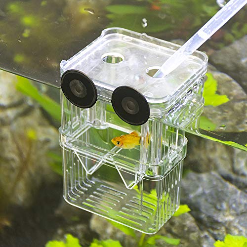 Senzeal Aquarium Fish Breeder Box Plastic Fish Isolation Breeding Box Hatching Incubator Box for Baby Fish Shrimp… - Image 3