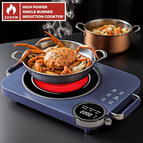 Image of Advwin Single Burner Electric Cooktop 110V,2200W Portable Electric Stove with Handle,Knob Control, 4H Timer & Overheat Protection,Ceramic Infrared Countertop Burner,Compatible for All Cookwares