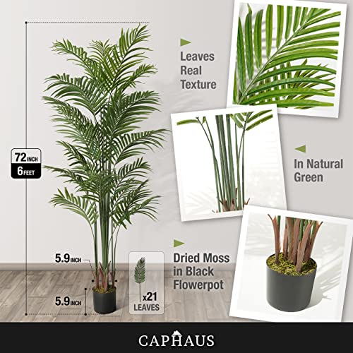 CAPHAUS 6FT Artificial Palm Tree Potted, Realistic Fake Palm Plant for Indoor & Outdoor, UV Resistant Low Maintenance Faux Tree for Home Office, Living Room, Covered Patio Decor