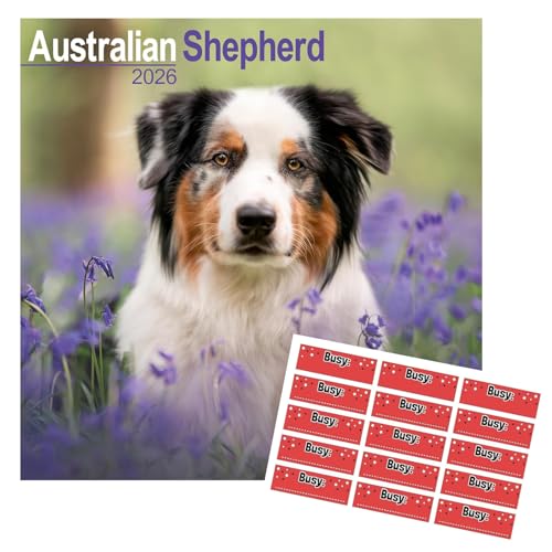 Australian Shepherd Calendar 2026 | 16 months | with FREE Organisational Stickers, Australian Shepherd Gift