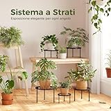 Bamworld B0D2P169KG lato 4