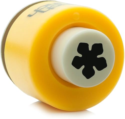 Vista 2 de Punch Bunch Punch-Bellflower pequeño