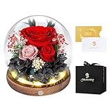 Ewige Rosen im Glas mit Led Licht, Infinity Rose, Konservierte Rosen Echt Blume, Geschenk für Frauen Mama Freundin, Valentinstag Jahrestag Geburtstag Muttertag, Rote Rose Geschenk für Sie