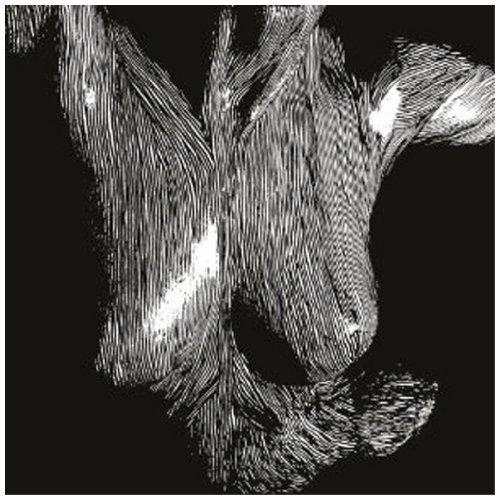 Self Preserved While the Bodies Float Up Amazon.de MusikCDs & Vinyl