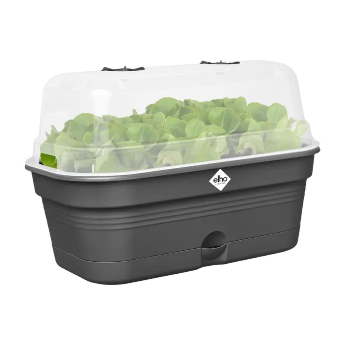 Elho Green Basics Plateau De Culture Allin 1 L Jardinière - Living Noir | L 23 x W 39 x H 15.2 cm | Soucoupe Intégrée | Plastique 100% recyclé
