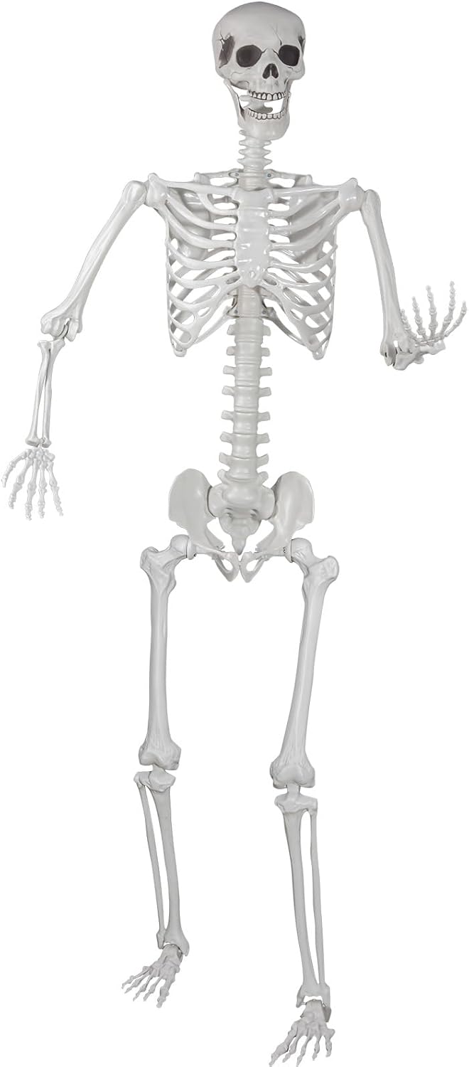 Halloween Skeleton, Realistic Life Size Skeleton with Movable Joints for Halloween Party Haunted House Indoor Outdoor Decoration (5.9ft-1P)
