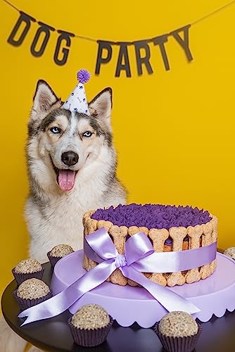 O livro de receitas para cães e gatos - Alimentos naturais e Confeitaria Pet