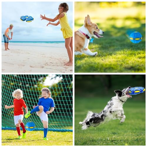 Ball-Untertasse, fliegendes Interaktives Spielzeug für Hunde