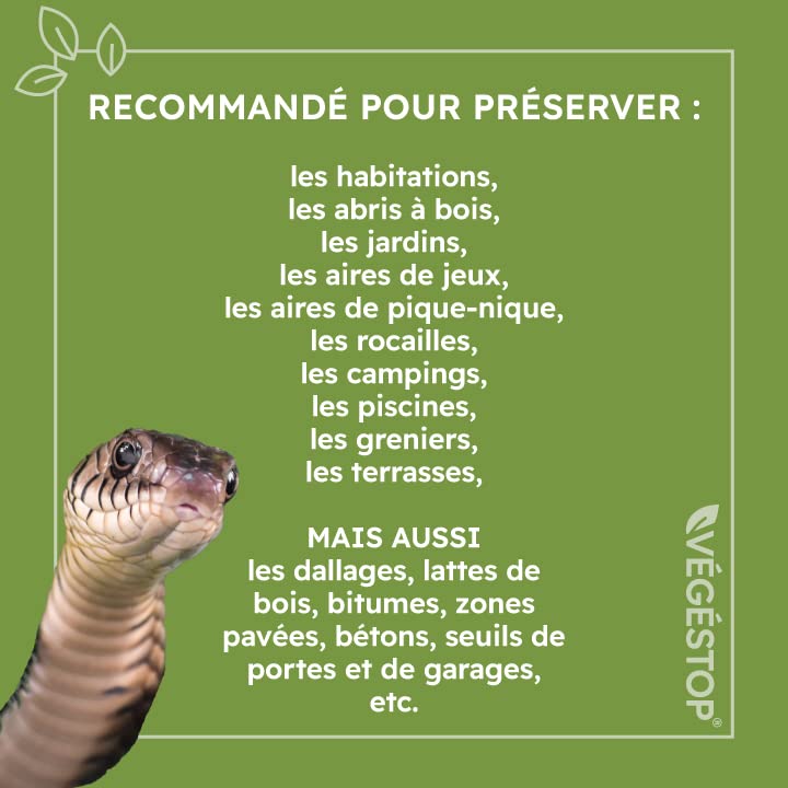 Repulsif Serpent Pack Anti-serpents VEGESTOP - Granulés 5kg Gel 500ml - Répulsif Reptiles Maison Et Jardin Vegestop Leclerc Repulsif Serpent Pack Anti-serpents VEGESTOP - Granulés 5kg Gel 500ml - Répulsif Reptiles Maison Et Jardin Vegestop Leclerc