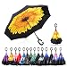 Elover 32in X 8 Panels Double Layer Inverted Umbrella, B - Chrysanthemum