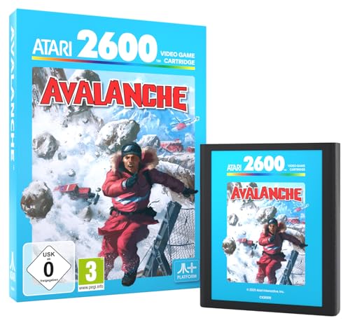 Avalanche Rétro Gaming - vue 4