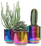 Ludu Unique Multicolor Set of 3 Chrome Planters – Durable & Stylish with Anti-Scratch Pads – Modern Round Home Decor (6.0"+5.0"+4.0" top Diameter) for Indoor Plants, Succulents, and Flowers (Rainbow)