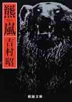 嵐 文庫本 51dCpQNcb9L._AC_SY200_QL15_.jpg
