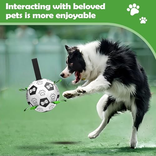 Spielzeug- Ball, stabiles interaktives Spielset, interaktives Hundespielzeug, für Park, Hinterhof- Training, Spielzeit, Familienübung, Freizeit-7
