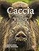 Produktbild La caccia