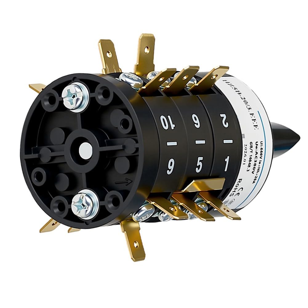 Interrupteur rotatif SZW26-20 440 V 20 A Triphasé marche avant marche arrière avec boîtier de protection IP65 pour moteur industriel