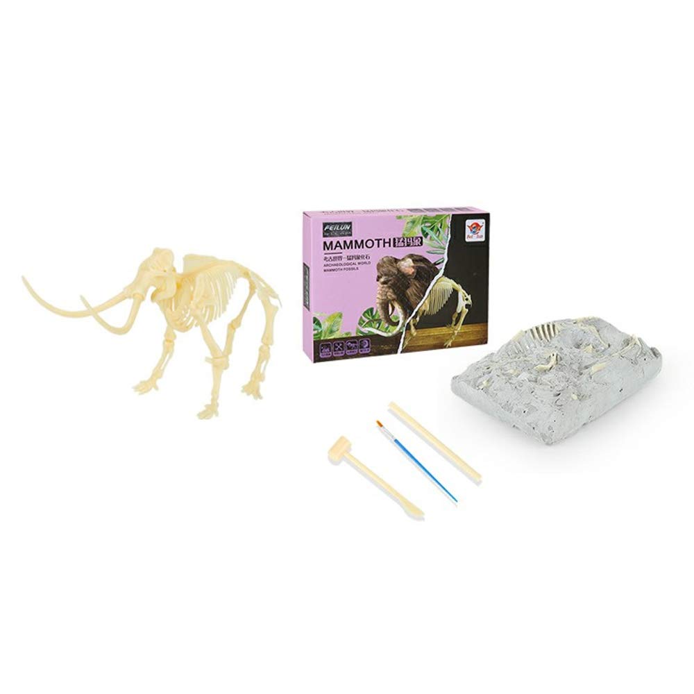 FeilunPlastic Realistic Archaeological World Diy Assembly Kit with Mammoth Fossil Plaster, Skeleton, Hammers, Brushes And Chisel