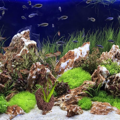Image of 6 pcs Lava Rock for Aquarium, Volcanic Rocks Small Dark Brown Volcanic Pumice Stones, Aquarium Stones Aquascaping for Fish Tank Decoration, 3.93x2.75x1.57inch