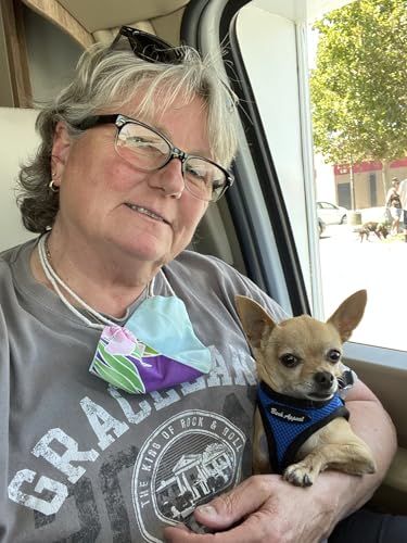 LISA WROBEL QUESTIONNAIRE