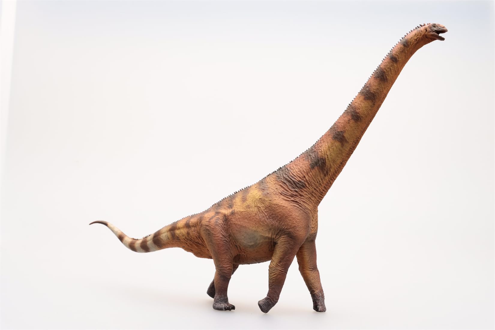 Dinosaure Euhelopus AMITD 1:35 avec détails réalistes peints à la main