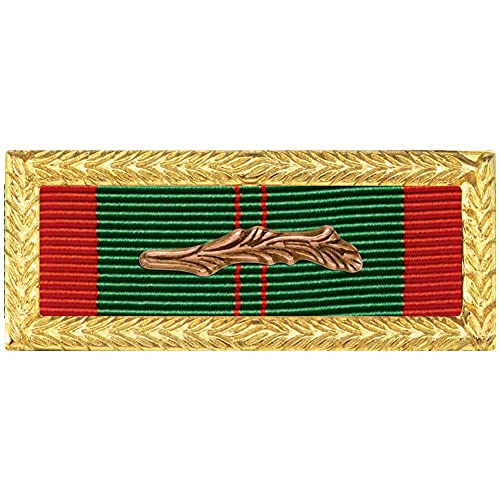 MEDALS OF AMERICA EST. 1976 - MEDALS OF AMERICA EST. 1976 RVN Civil Action Honor Unit Citation With Palm - Best Deal on Amazon