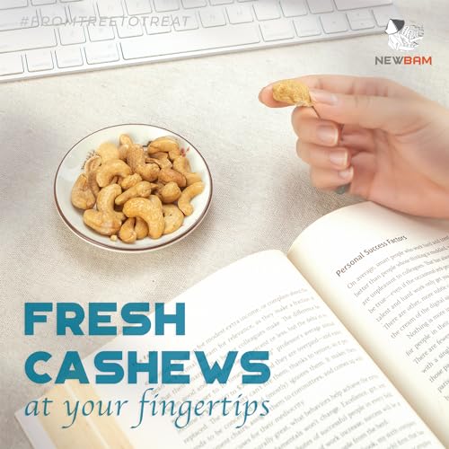 Image of NEWBAM Lightly Salted Cashews - 12 Individual Packs - Vegan, Keto-Friendly | Just two ingredients: cashews & sea salt. Gluten-Free, Zero Sugar. 9g net carbs. From Binh Phuoc, Vietnam.