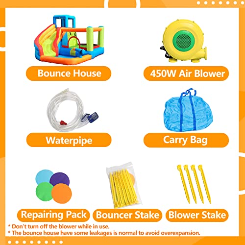 Doctor Dolphin Bounce House for Kids, Inflatable Water Slide, Indoor Bouncy House with Waterslide, Kids Bouncy Castle with Slide, Jump House Water Bounce House for Wet and Dry(Blower Included)