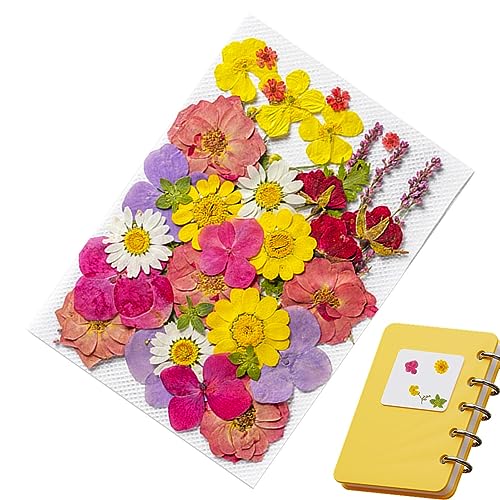 �h���C�t�����[�X�e�b�J�[, �W���[�i�����O�p�A���X�e�b�J�[ 35 ��, �W���[�i�����O�p�A���X�e�b�J�[�A�X�N���b�v�u�b�N�X�e�b�J�[�A�W���[�i���v�����i�[�p�m�[�g�p�\�R���l�C���p�i Koyoyo