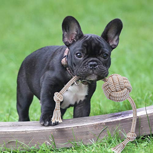 FONPOO Hundespielzeug Hergestellt aus Natürlicher Baumwolle und Leinen Natürlich und Ungiftig Um die Intelligenz von Hunden zu Entwickeln Diverses Hundeball Zubehör Perfektes Starterset