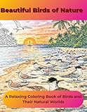 Beautiful Birds of Nature: A Relaxing Coloring Book of Birds and Their Natural Worlds