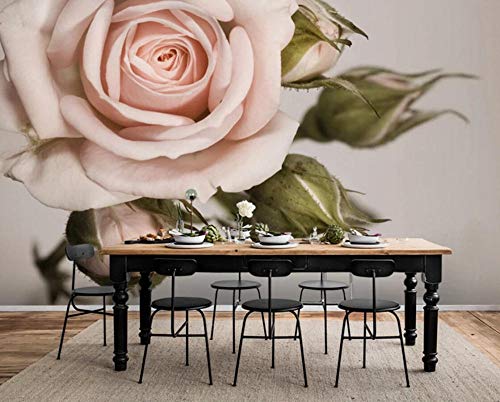 Papel Pintado Pared 3D Fotomurales Mural  Brote De Flor Rosa Rosa De Moda Mural Papel Pintado Sala De Estar Dormitorio Tv Fondo Decoración De Pared 430cm×300cm