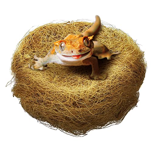 Bearded Dragon Vivarium Accessories 2023 Vet Ranch We Love Pets