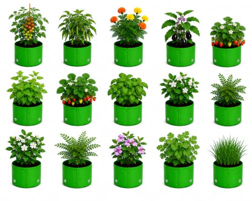 Image of Grow Bags for Terrace Gardening, Premium HDPE Green-Orange Large Planters for Fruit Trees, Vegetables, Flowers & Home Garden Pack of 15(6x6)