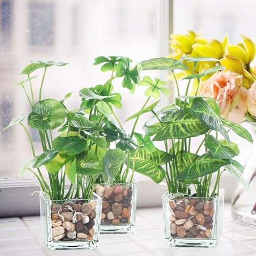 Image of Pulovin 2.5 Pound Decorative Stones, 1-1 1 /2 inch, River Rocks for Plants Indoor Drainage, Small Polished Natural Pebbles for Crafts, Vases, Garden and DIY Decor