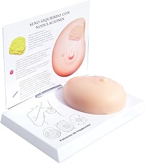 KH66ZKY Pathological Breast Model - Breast Self-Examination Model - Pathological Lumps Breast Self-Test Model Medical Teaching Tool
