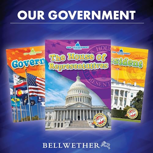 Our Government by various episode artwork