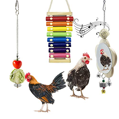 Best Toys For Chickens
