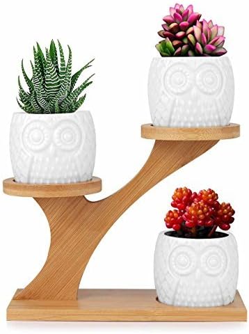 Innoter Owl White Ceramic Planter, Set of 3 Mini Succulent Flower Pots with Bamboo Tray