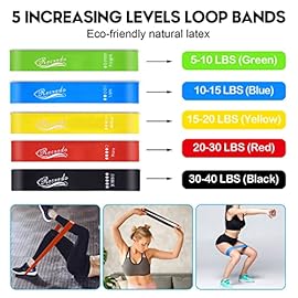 Resistance Bands Set 17pcs, Resistance Band, Exercise Bands Fitness Workout with Wide Handles, Door Anchor, Steel Clasp, Carry Bag, Ankle Straps for Home Gym Outdoor Travel