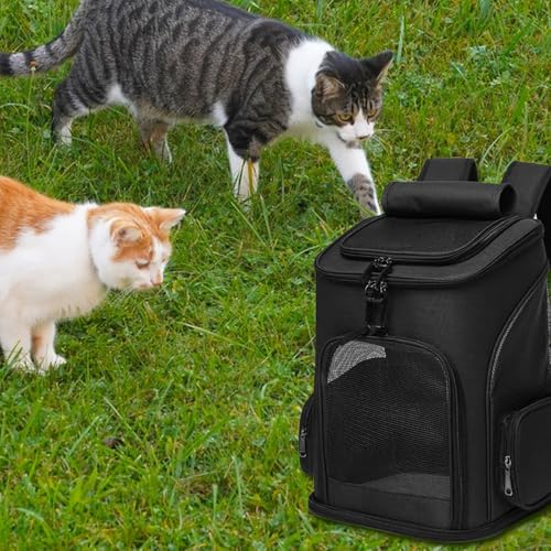 Sac de transport pour chat avec structure souple extensible et filet aéré - 7