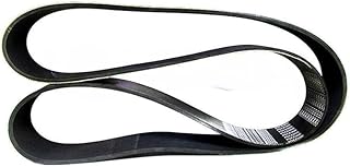 1PC 3002202 Fan Belt 15PK1770 20-1707 Generator Engine KT19 K19 K38 K50 KTA19