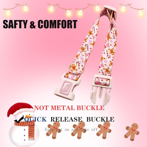 Collier pour chien avec laisse rose pour balade urbaine et parc