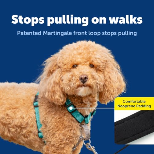 Image of PetSafe Teal 3-in-1 Harness, Small