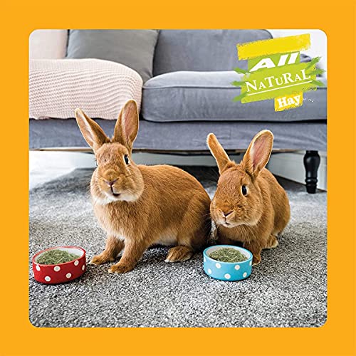 Acorn-Alfalfa-Hay-Naturally-Dried-14-KG-Food-for-Rabbits-Guinea-Pig-Hamsters-and-Other-Small-Animals-High-Fiber-Food-Pesticides-Free