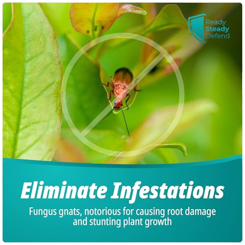 Fungus Gnat Killer Spray 200Ml For Houseplants Seedlings And Young Plants Organic Insecticidal Soap Formula Targets Sciarid Flies Larvae And Adults For Indoor And Outdoor Soil Treatment Use - 7