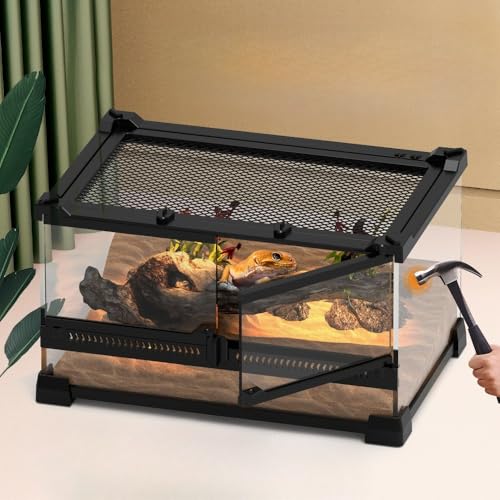 爬虫類 グラステラリウム」の人気商品一覧 | 安い商品を通販サイトから